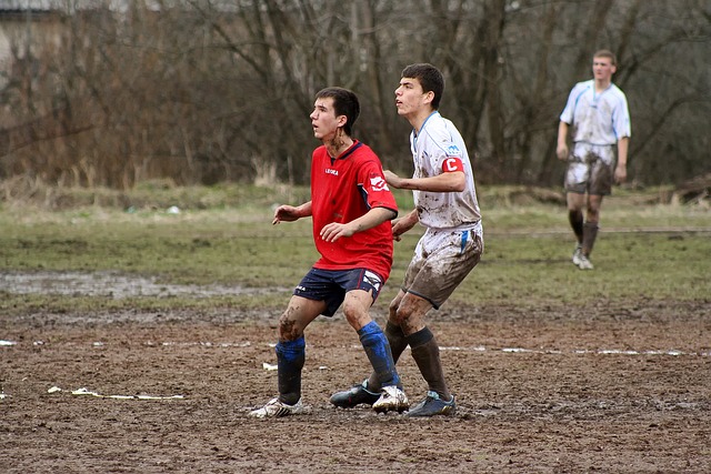 次强调了乌 次强调了乌