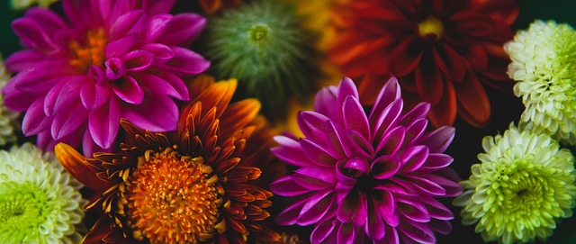 哲從小養成 哲從小養成