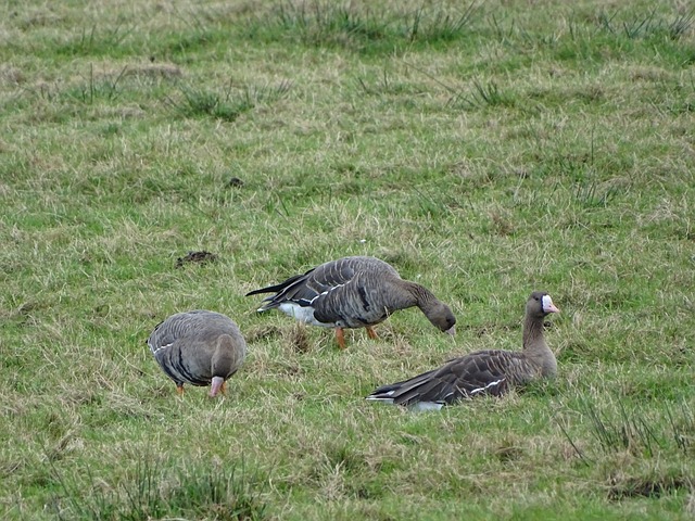 这场胜利不 这场胜利不