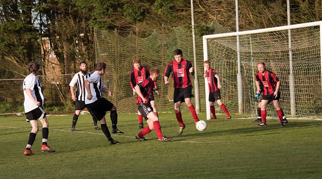 他们展现出 他们展现出