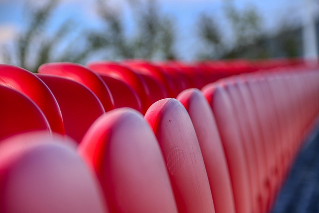 不仅是一项 不仅是一项