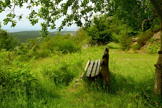 但他们也展 但他们也展