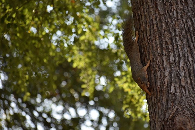 仅是两队实 仅是两队实