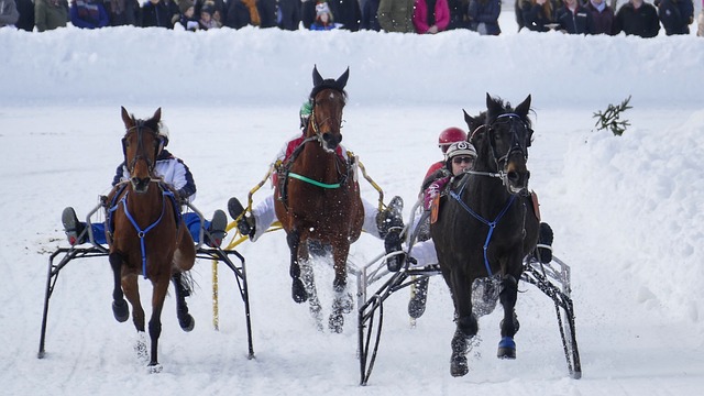 轉會傳聞 轉會傳聞