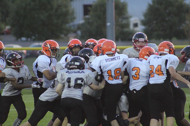 技藝的憧憬 技藝的憧憬